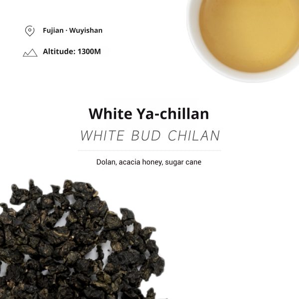 yuanfnagshi-White Bud Qilan-Oolong Tea - Image 3